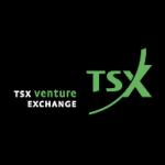 logo TSX Venture Exchange(13)