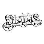 logo Tucson Sidewinders(28)