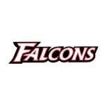 logo Atlanta Falcons(166)