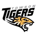 logo Towson Tigers(187)