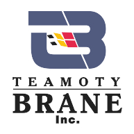 logo Teamoty Brain