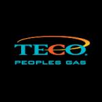 logo Teco Peoples Gas(42)