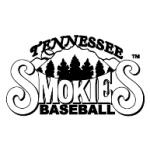 logo Tennessee Smokies