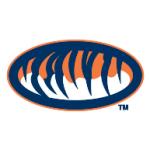 logo Auburn Tigers(250)