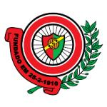 logo Sport Futebol Palmense