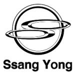 logo SsangYong(151)