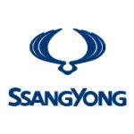 logo SSangYong(152)