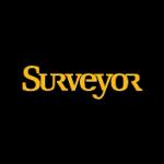 logo Surveyor