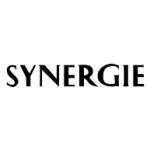 logo Synergie(215)