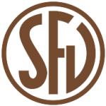 logo SFV
