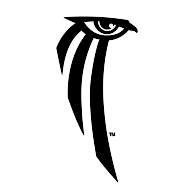 logo Shaman's Tears
