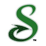 logo Shreveport Swamp Dragons(74)