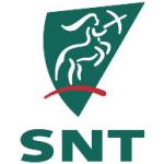 logo SNT Group