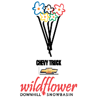 logo Wildflower