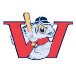 logo Winnipeg Goldeyes