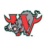 logo Winston-Salem Warthogs(66)