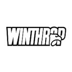 logo Winthrop Eagles(71)