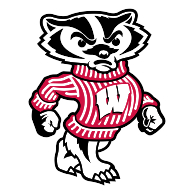 logo Wisconsin Badgers(91)