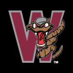 logo Wisconsin Timber Rattlers(95)