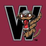 logo Wisconsin Timber Rattlers(96)