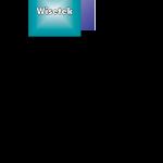 logo Wisetek