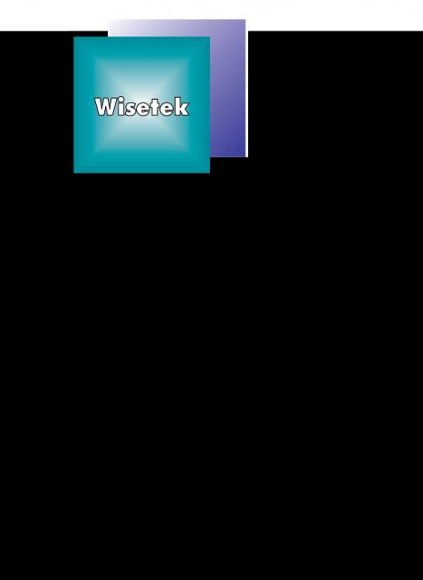 logo Wisetek