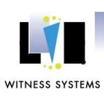 logo Witness Systems