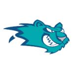 logo Worcester IceCats