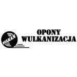 logo Wulkan