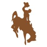 logo Wyoming Cowboys