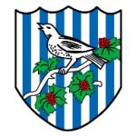 logo West Bromwich Albion