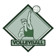 logo Volleyball