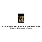 logo VSE(93)