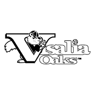 logo Visalia Oaks(144)