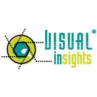 logo Visual Insights