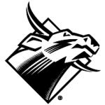logo USF Bulls