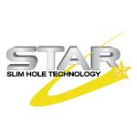 logo Star(40)