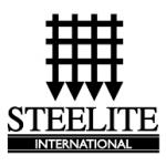 logo Steelite International(82)