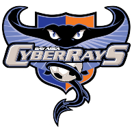 logo Bay Area Cyberrays