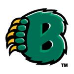 logo Baylor Bears(244)