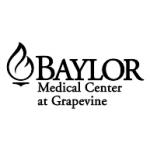 logo Baylor