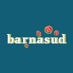 logo Barnasud