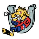 logo Barrie Colts