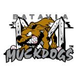 logo Batavia Muckdogs(210)