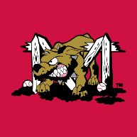 logo Batavia Muckdogs(211)