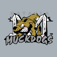 logo Batavia Muckdogs(212)