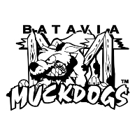 logo Batavia Muckdogs