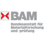 logo Bam