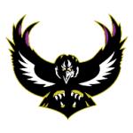 logo Baltimore Ravens(82)