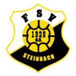 FSV Steinbach